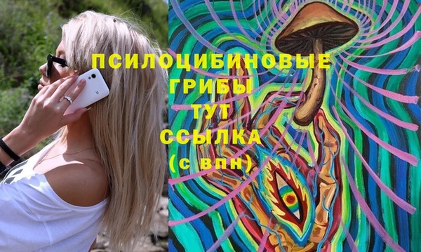 мяу мяу мука Арсеньев