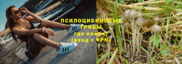 мяу мяу мука Арсеньев