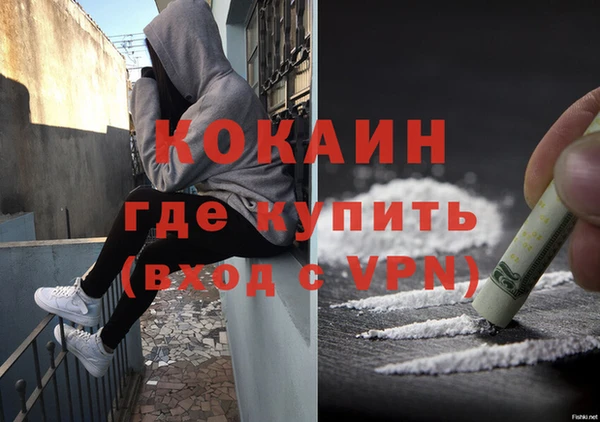 сатива Армянск