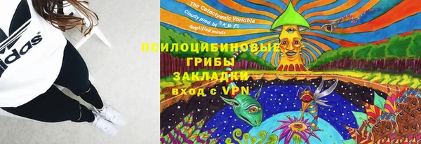 мяу мяу мука Арсеньев