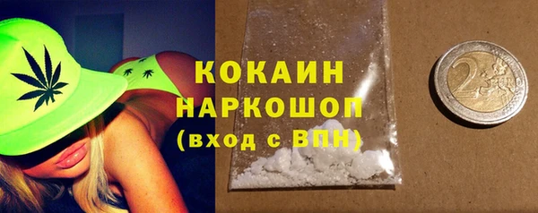 сатива Армянск