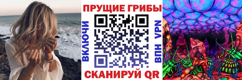 Галлюциногенные грибы Psilocybe наркотики это официальный сайт Похвистнево